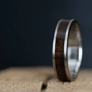 Titanium ring with Ebony inlay